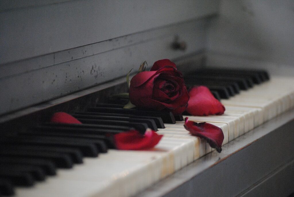 animations musicales en maisons de retraites en Ehpad. Image d'illustration représentant une rose sur un piano, des ton rouge et gris sont mis en avant sur cette image